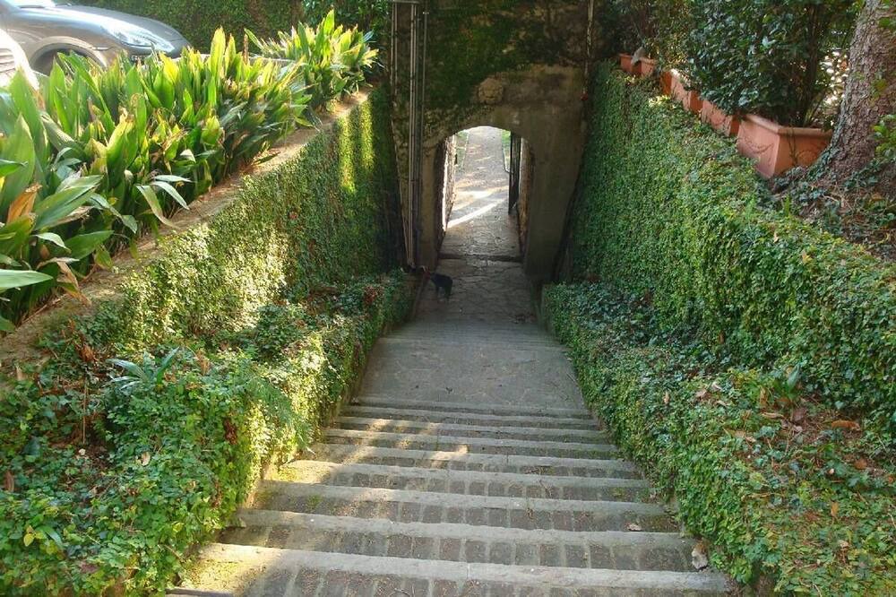 Photo of Outdoor in Moltrasio