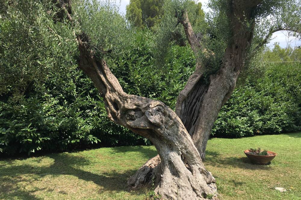 Photo of Outdoor in Monteroni di Lecce
