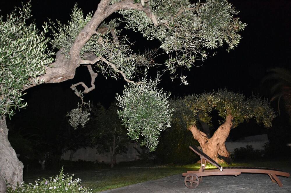 Photo of Outdoor in Monteroni di Lecce