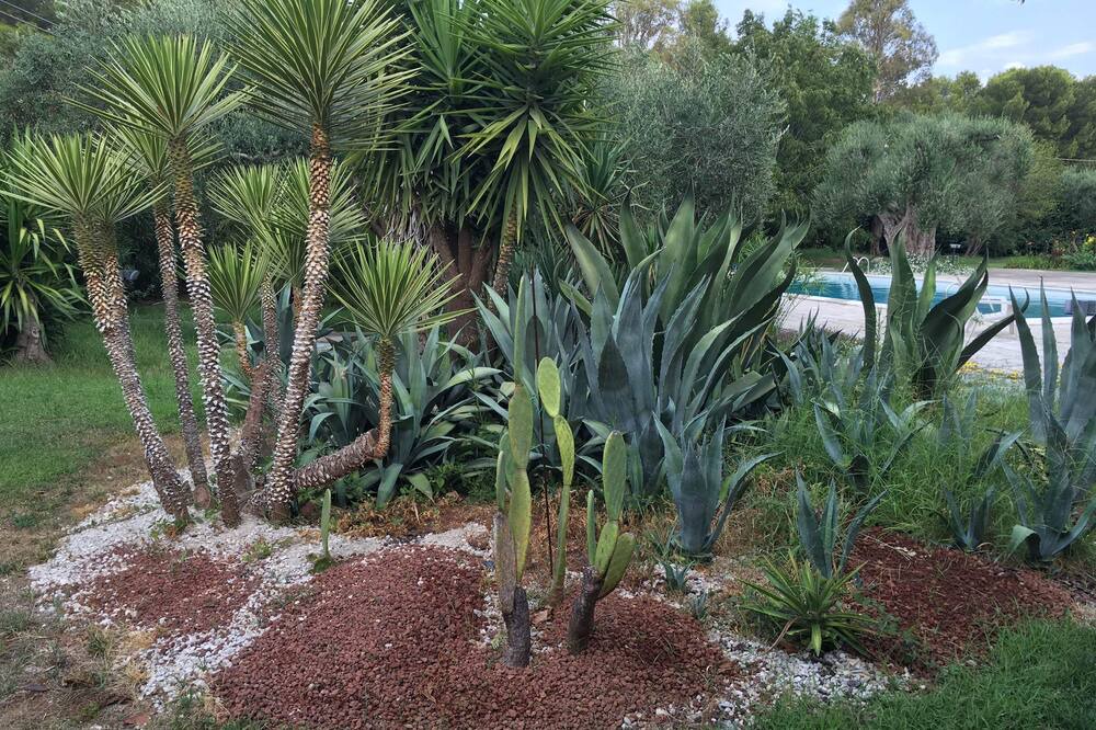 Photo of Outdoor in Monteroni di Lecce