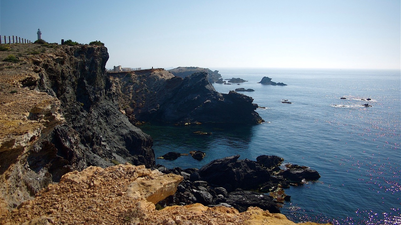 Photo of Others in Cala Reona
