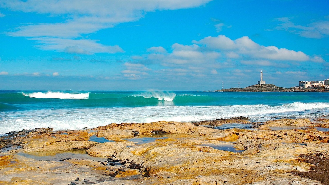 Photo of Others in Cala Reona
