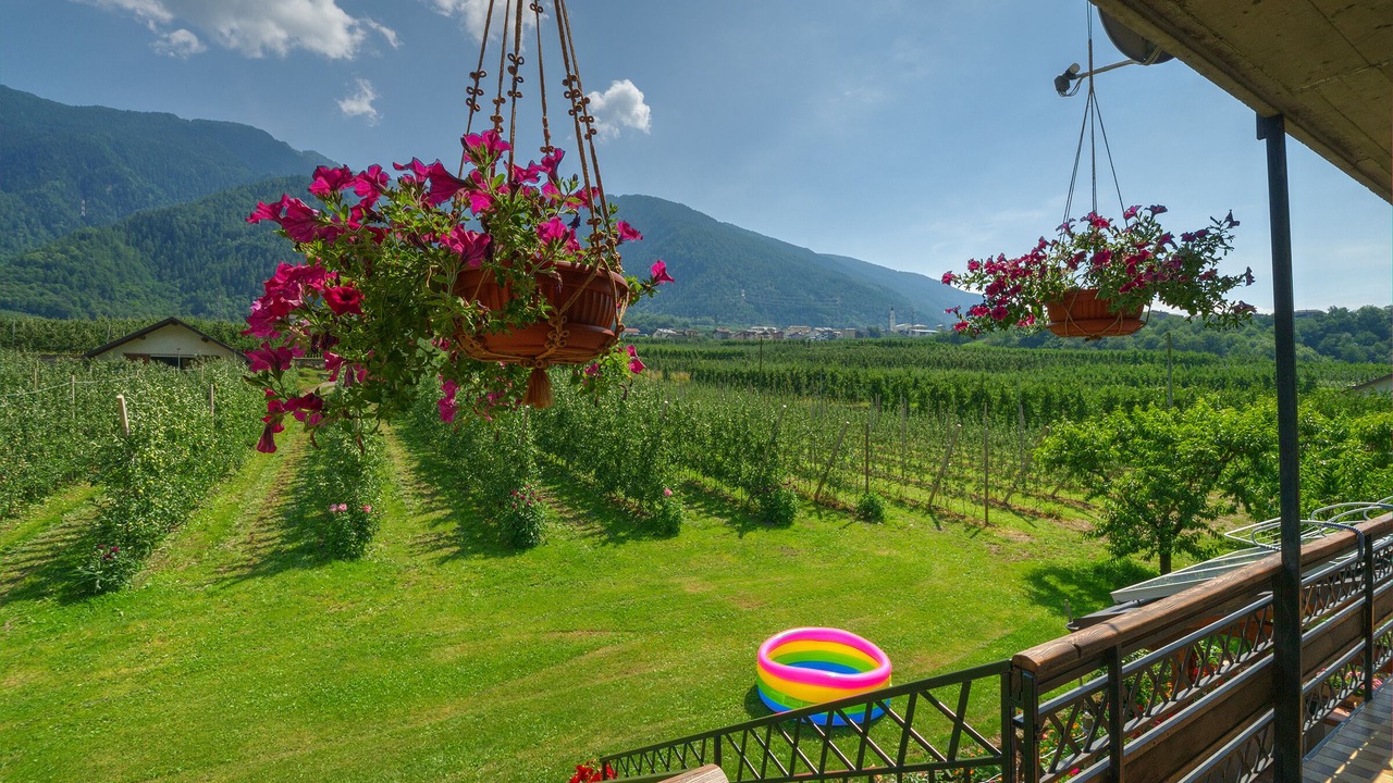 Photo of Outdoor in Sernio