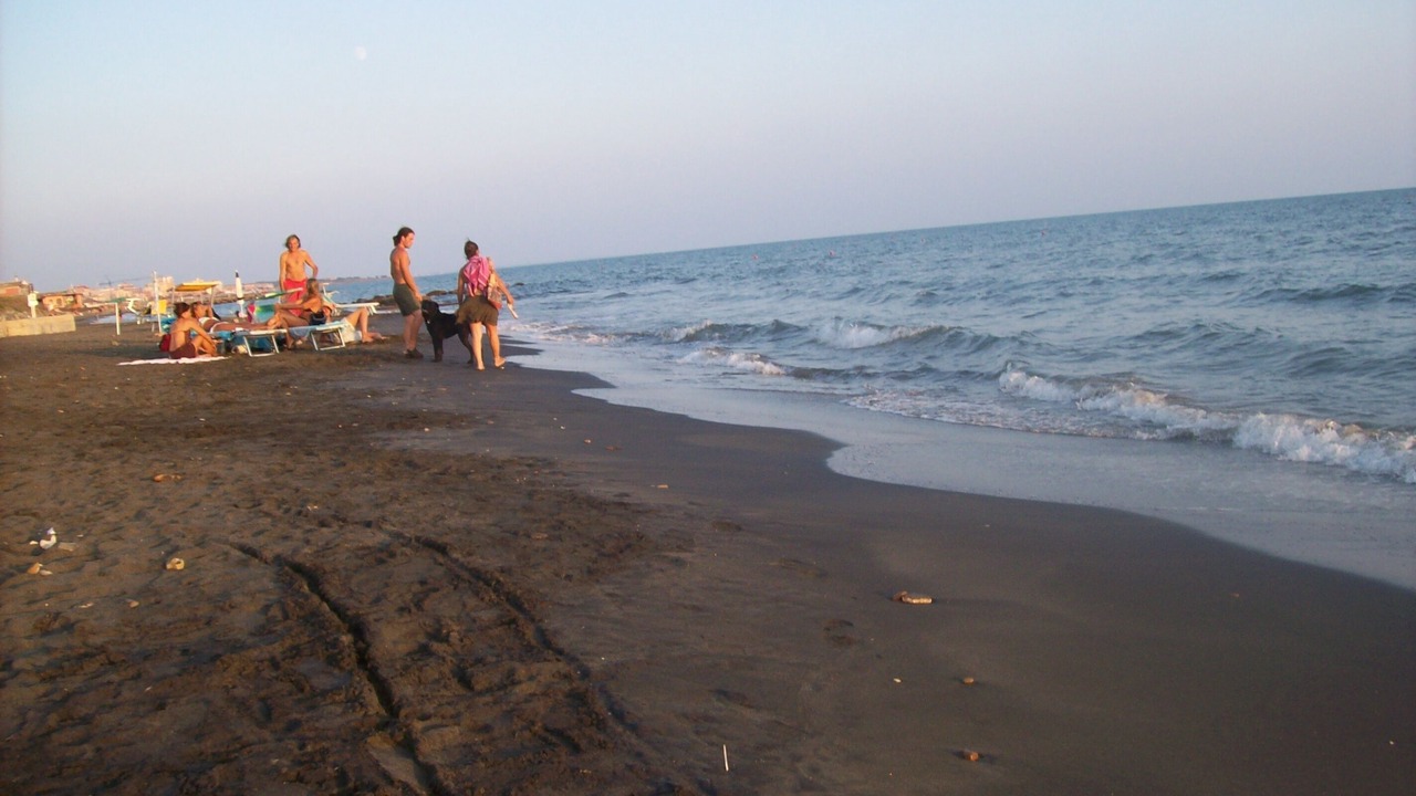 Photo of Others in Ladispoli