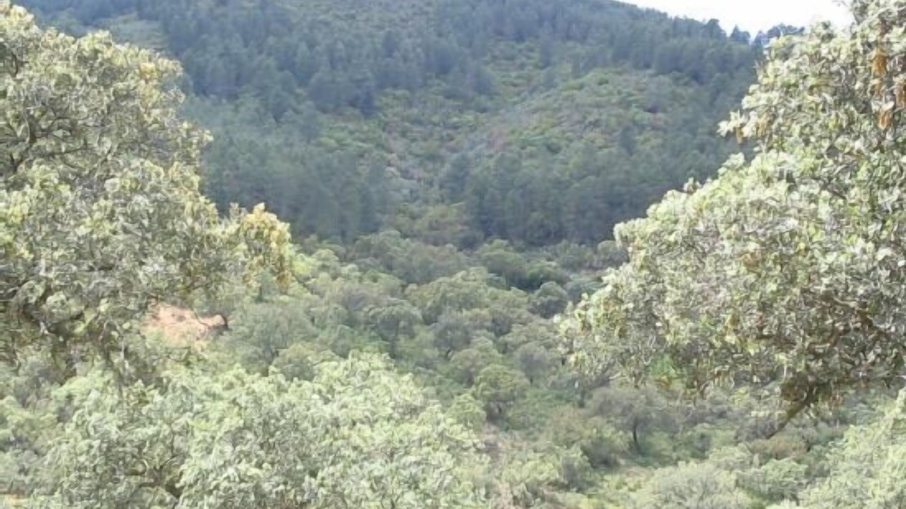 Photo of Outdoor in Villaviciosa de Cordoba