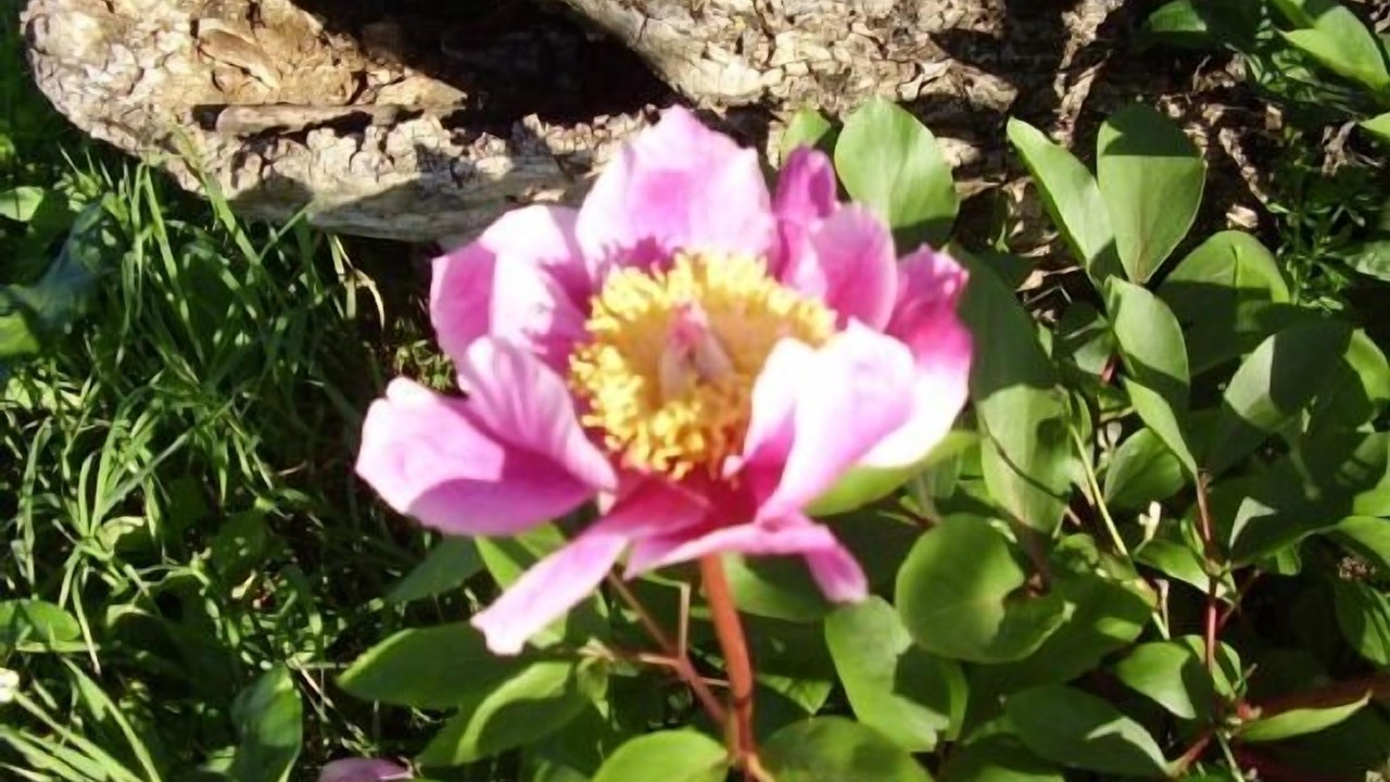 Photo of Outdoor in Villaviciosa de Cordoba