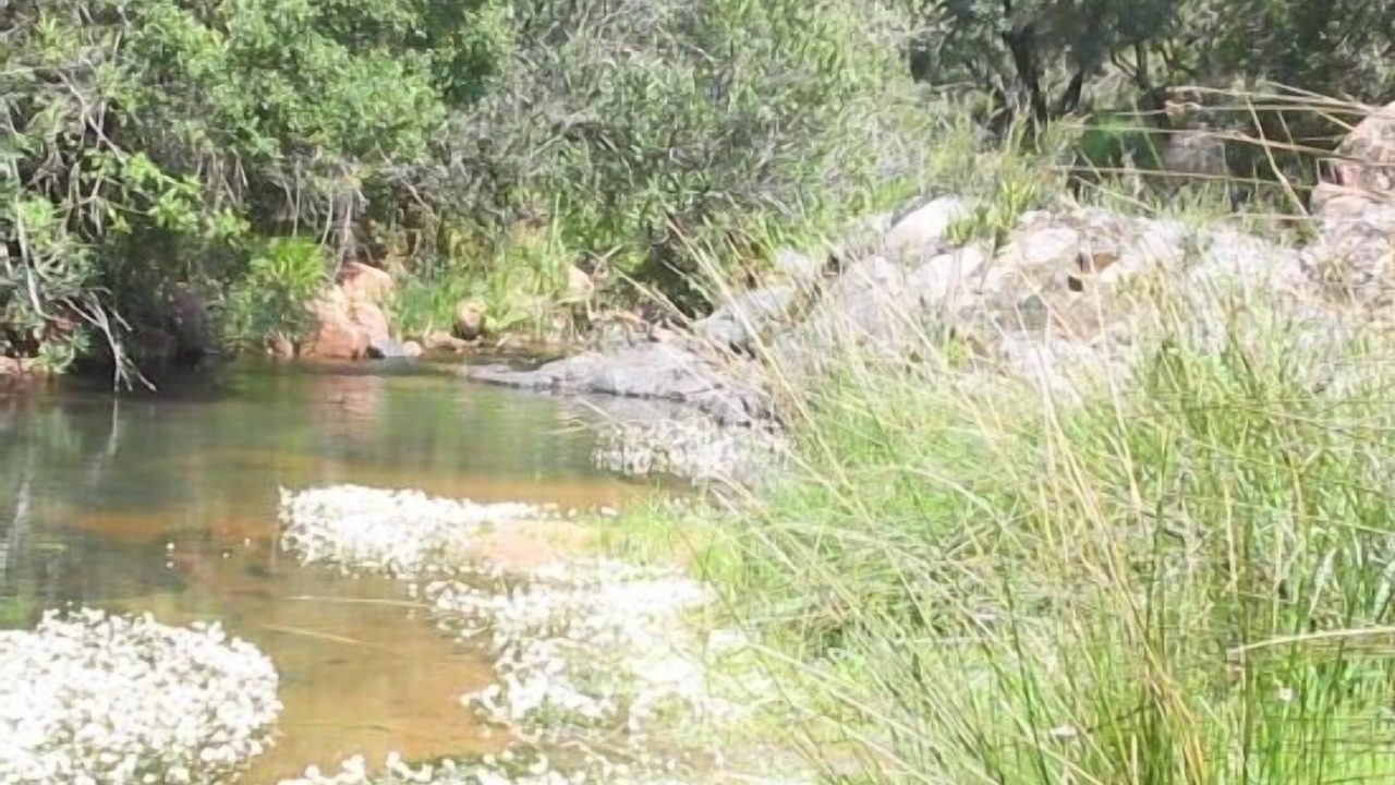 Photo of Outdoor in Villaviciosa de Cordoba