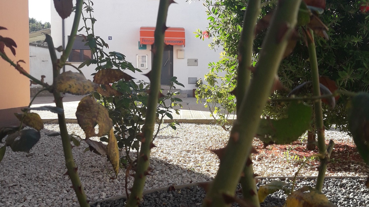 Photo of Outdoor in Faio