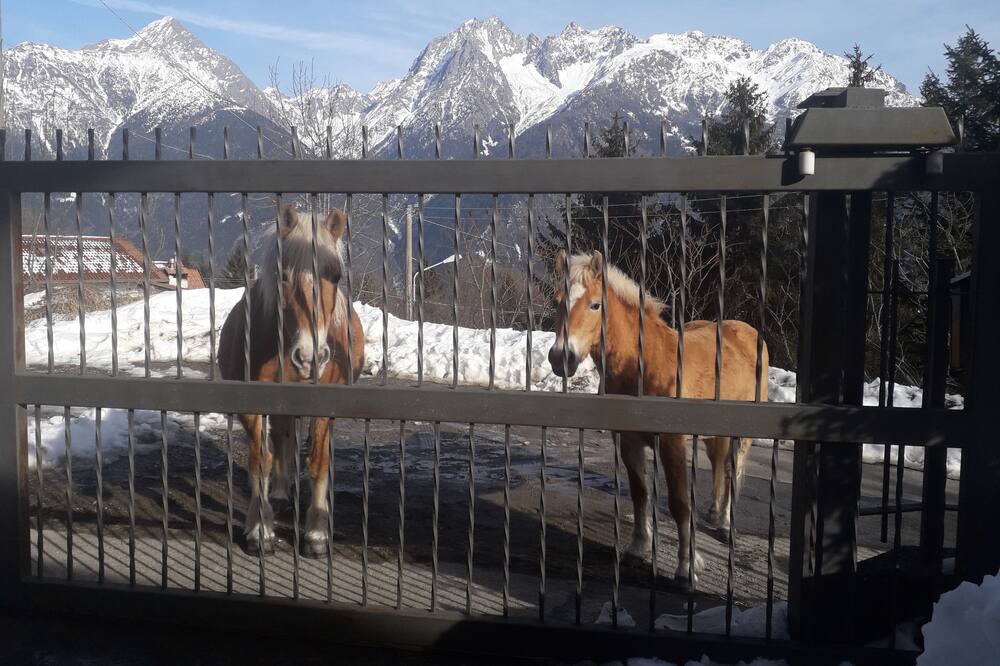 Photo of Outdoor in Malonno