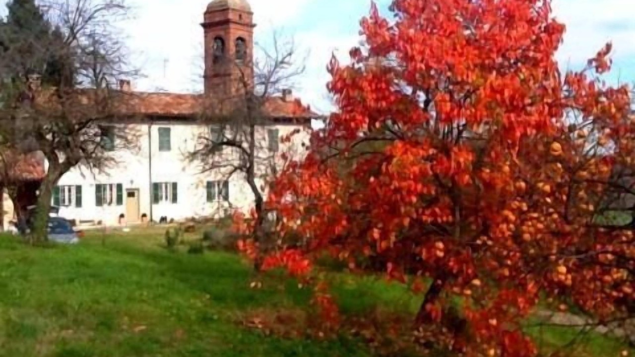 Photo of Outdoor in Camino