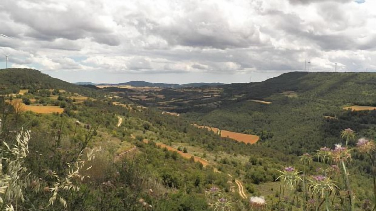 Photo of Others in Savalla del Comtat