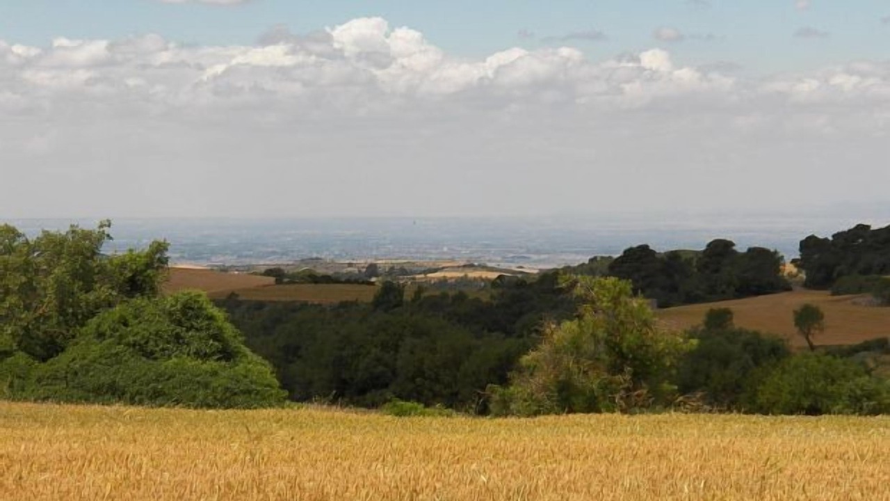 Photo of Others in Savalla del Comtat