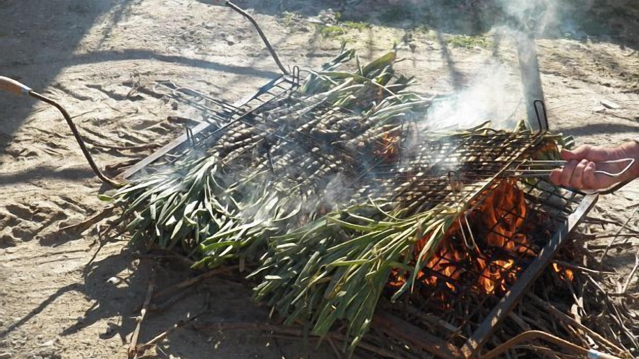 Photo of Outdoor in Savalla del Comtat