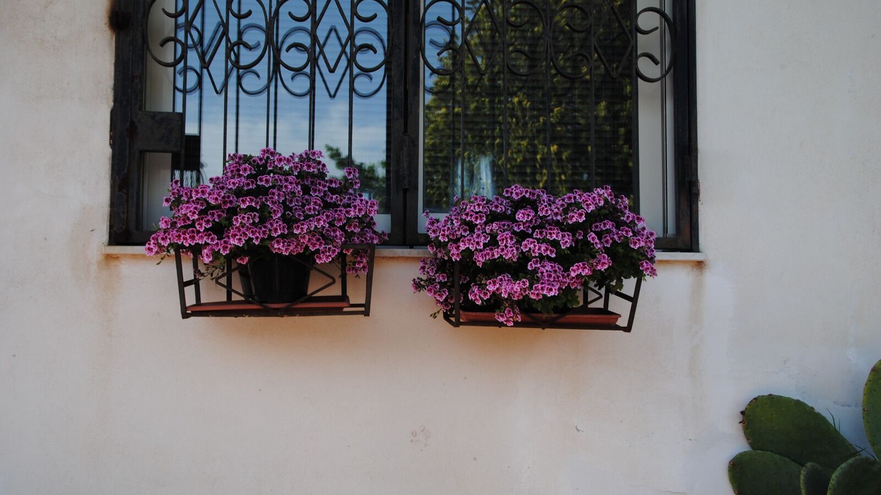 Photo of Outdoor in San Giovanni la Punta