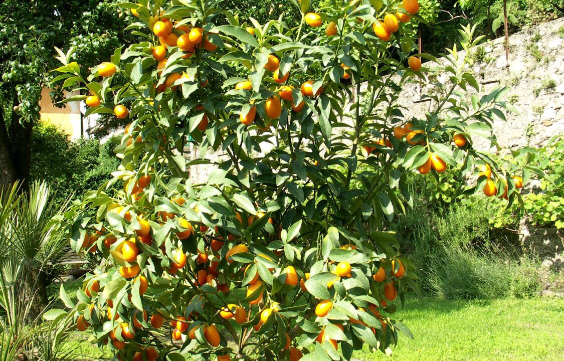 Photo of Outdoor in Gonte