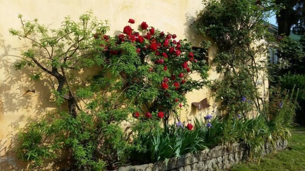 Photo of Outdoor in Gonte