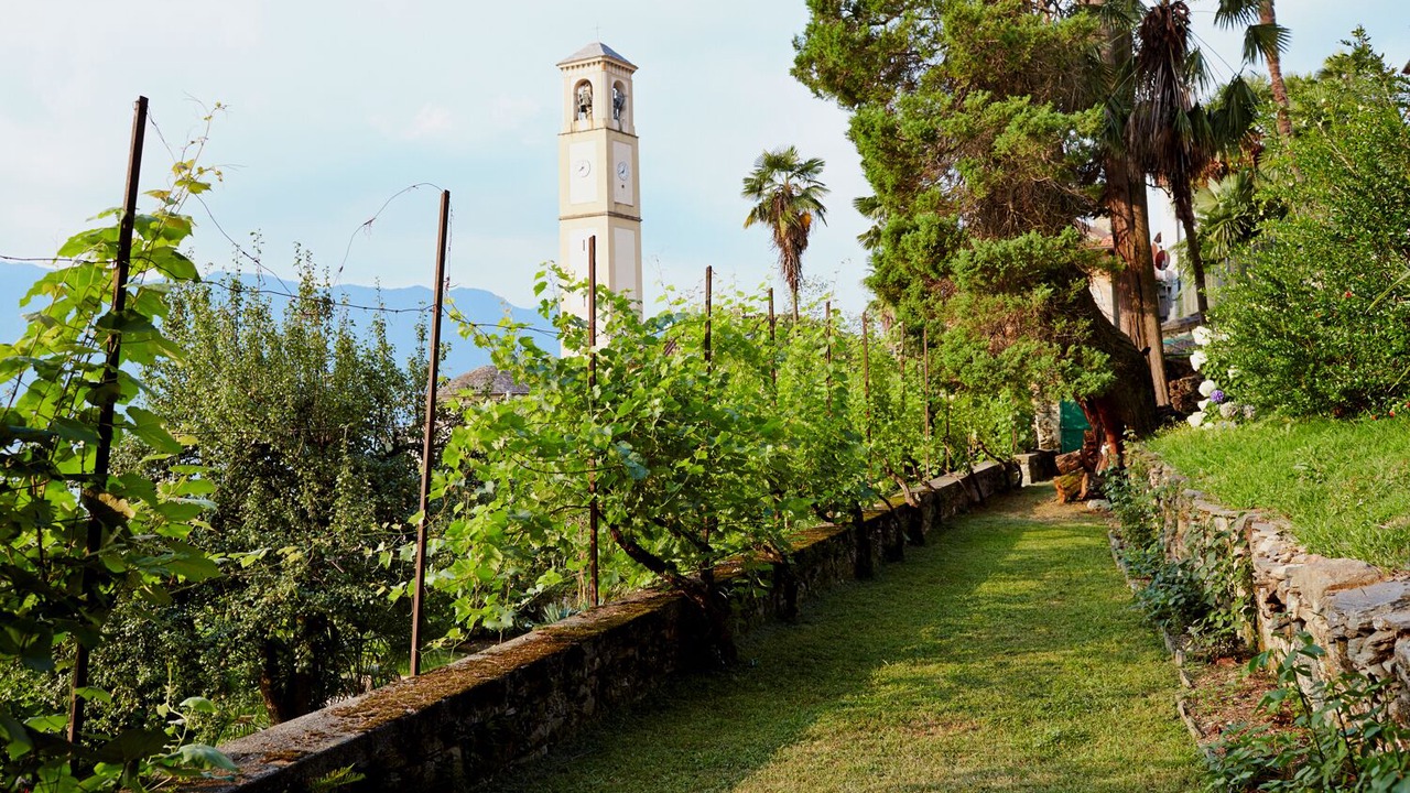 Photo of Outdoor in Gonte