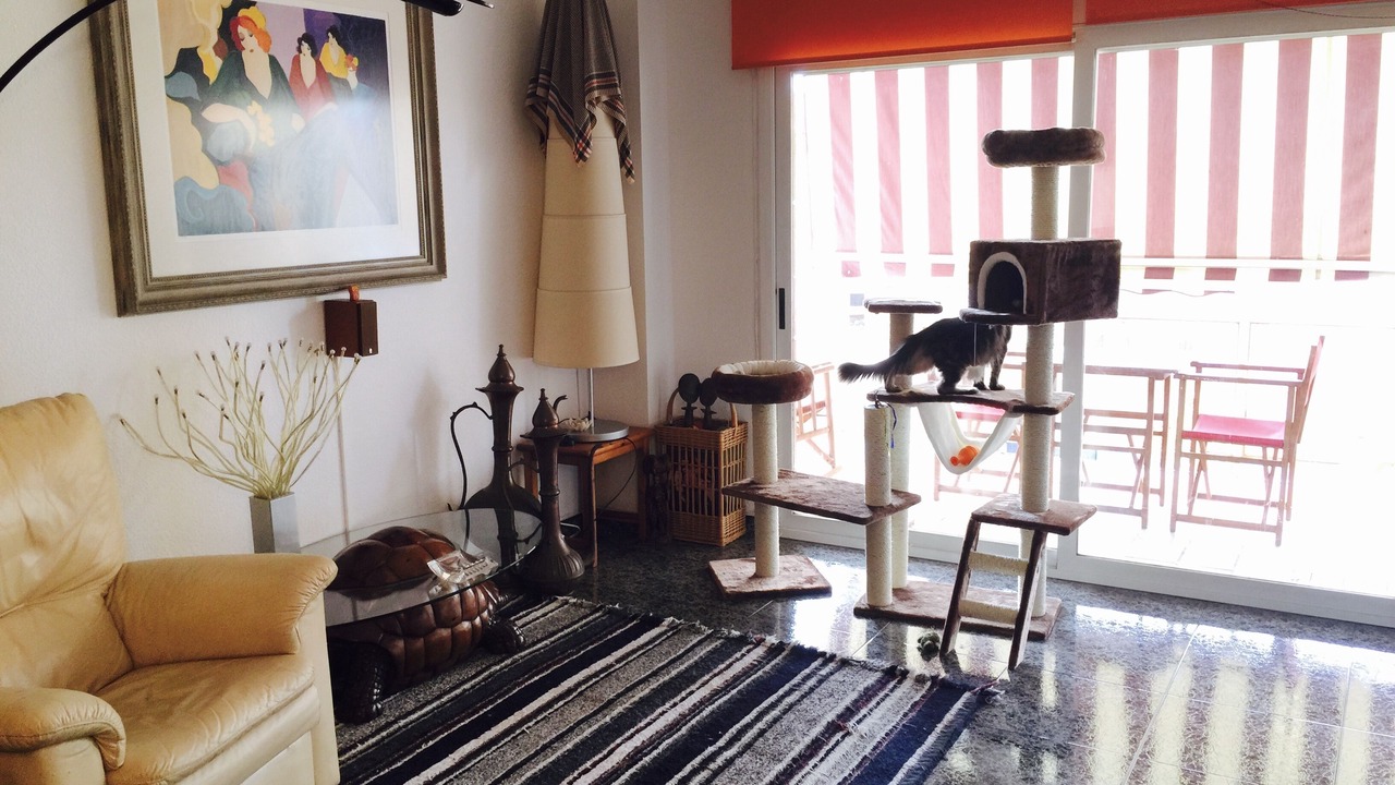 Photo of Livingroom in Sant Celoni