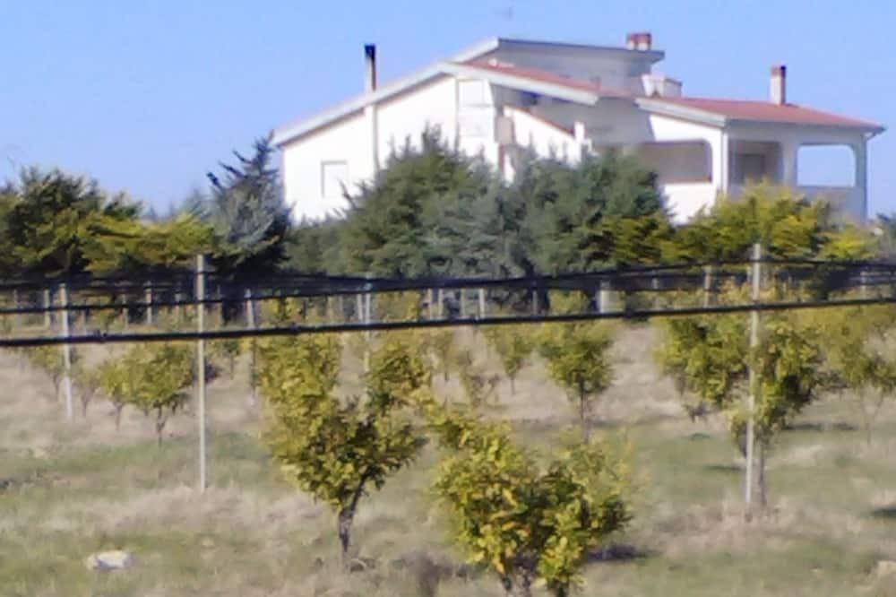 Photo of Outdoor in Scanzano Jonico