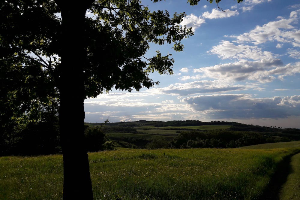 Photo of Outdoor in Viano