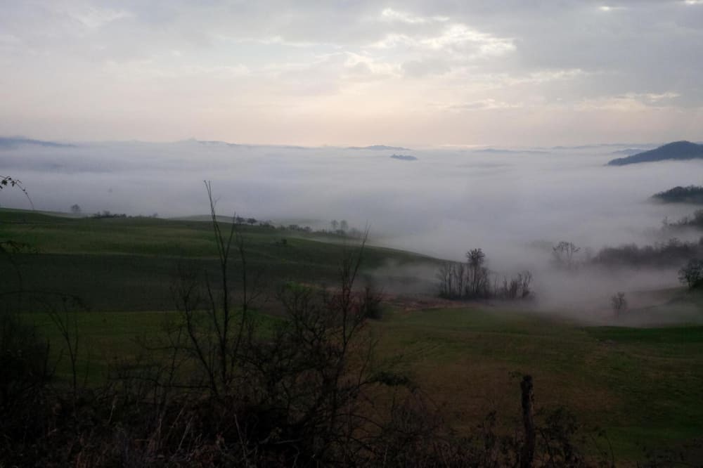 Photo of Others in Viano
