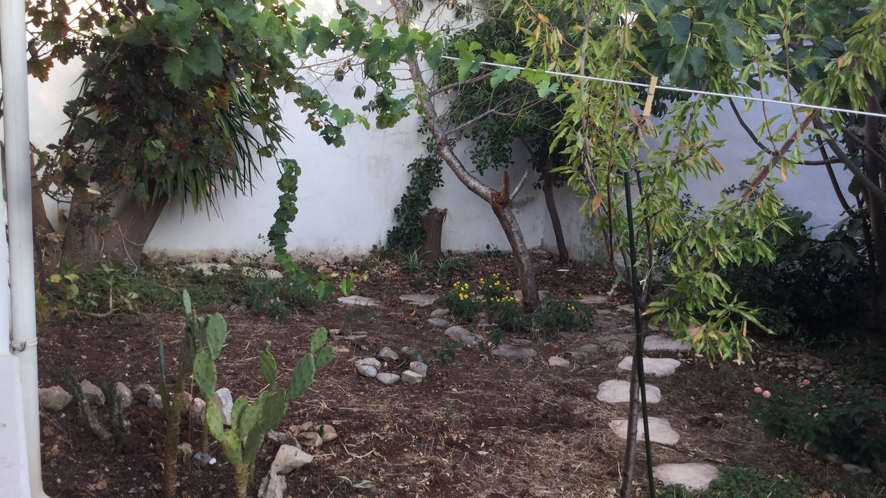 Photo of Outdoor in Specchiarica