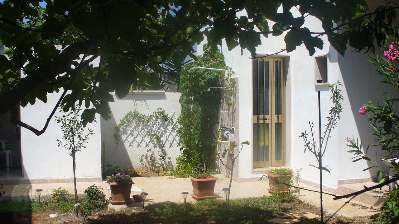 Photo of Outdoor in Specchiarica