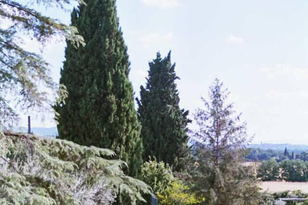 Photo of Outdoor in Torgiano