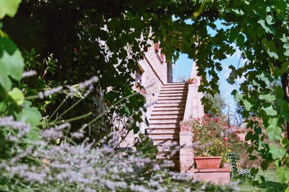 Photo of Outdoor in Torgiano
