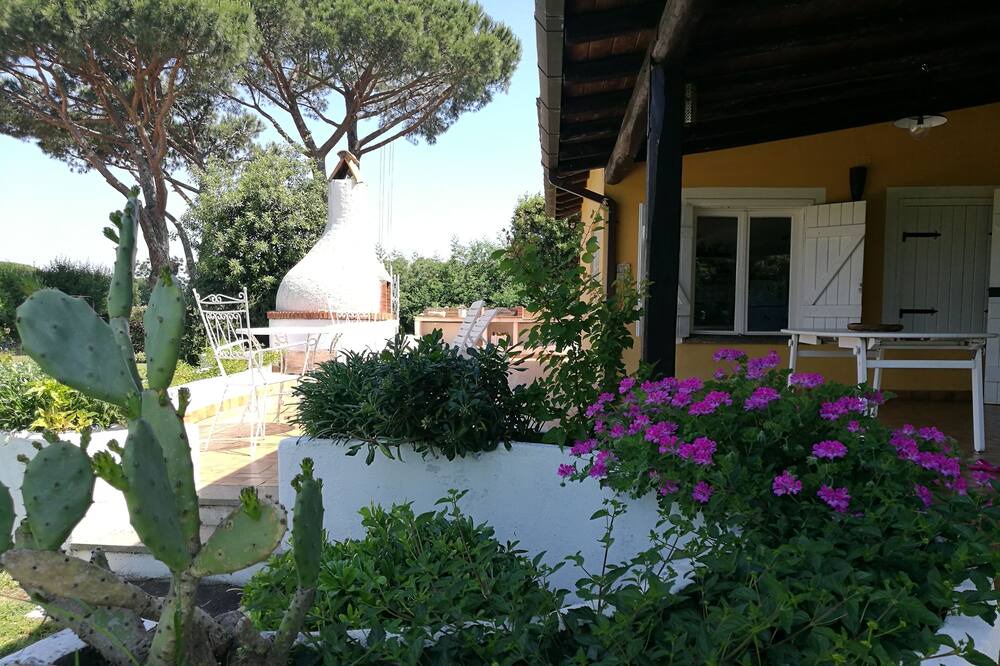 Photo of Outdoor in Sabaudia