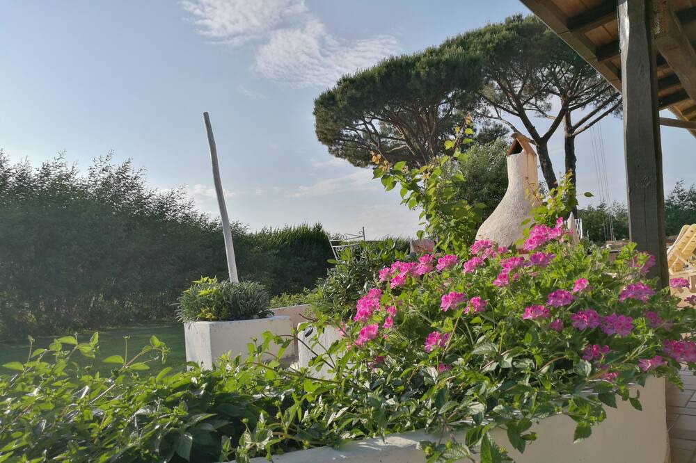 Photo of Outdoor in Sabaudia
