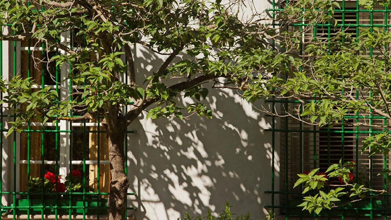 Photo of Outdoor in San Nicolo
