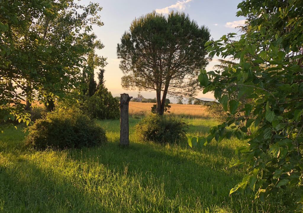 Photo of Outdoor in Vilafant