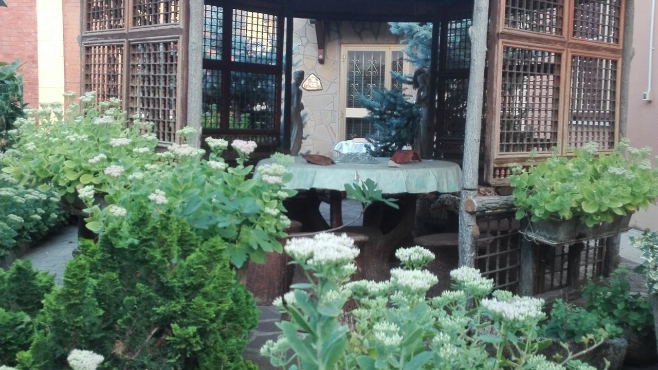 Photo of Outdoor in Castelfranco Emilia