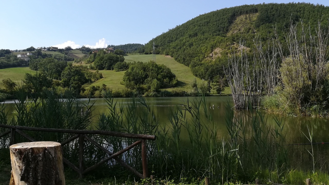 Photo of Others in Castiglione dei Pepoli