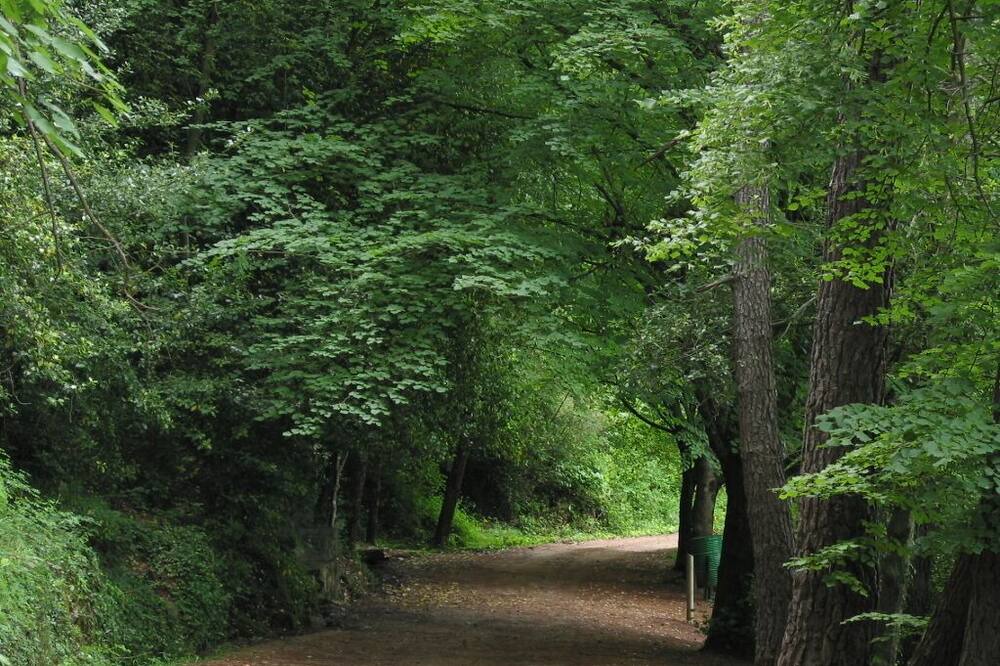 Photo of Outdoor in L'Espluga de Francoli