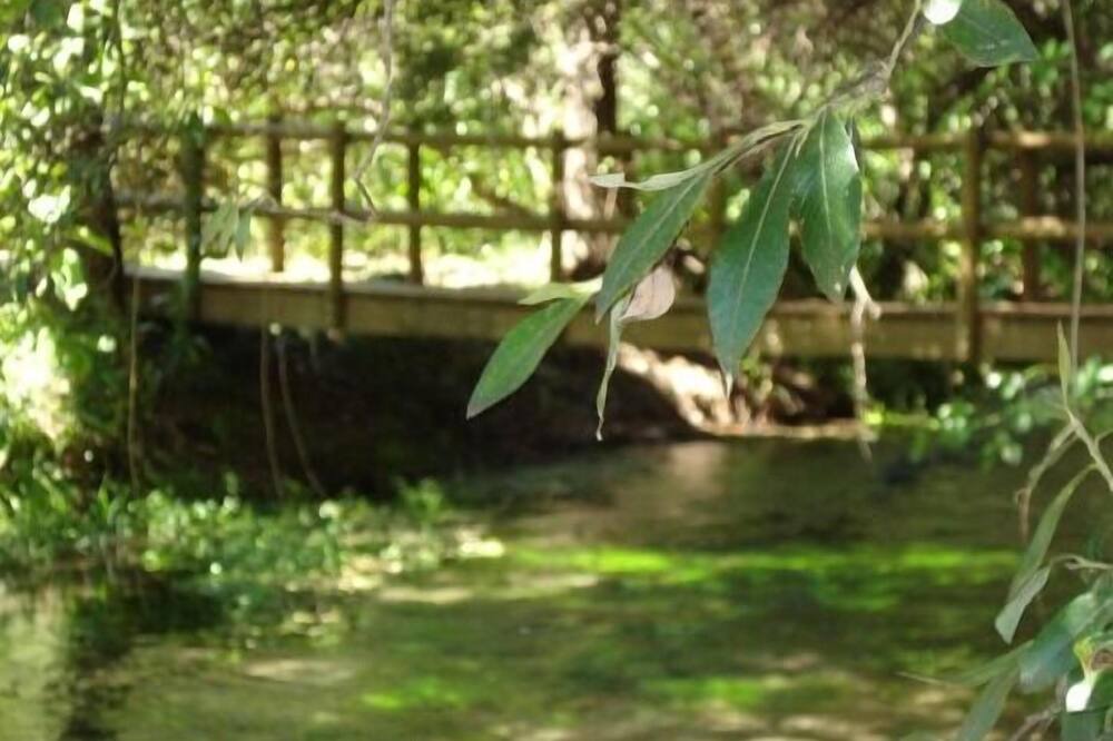 Photo of Outdoor in Los Santos