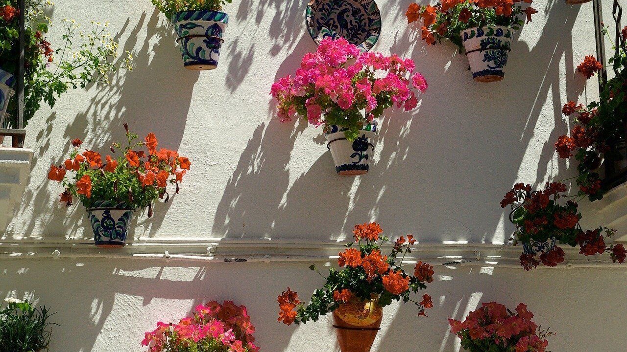 Photo of Outdoor in Pinos del Valle