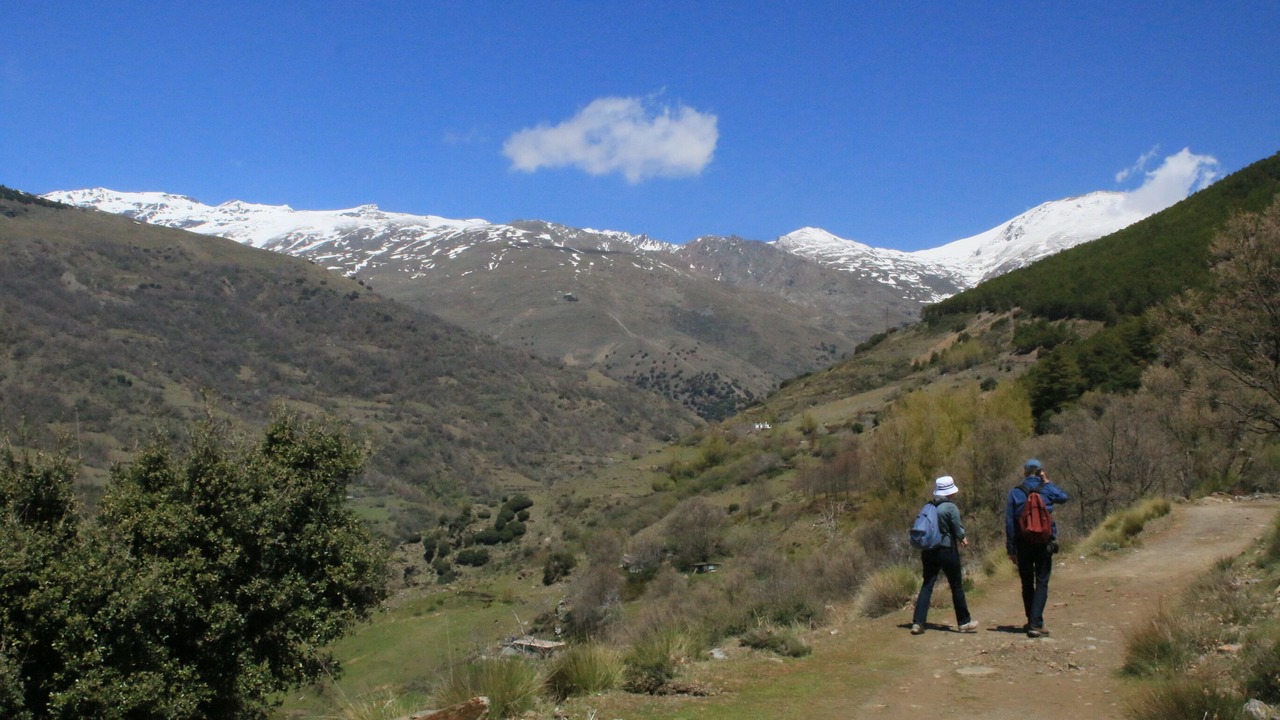 Photo of Others in Pinos del Valle