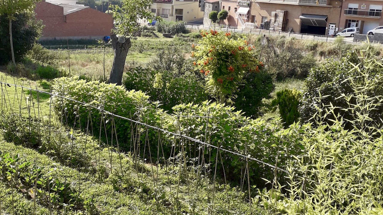 Photo of Outdoor in Ivars de Noguera