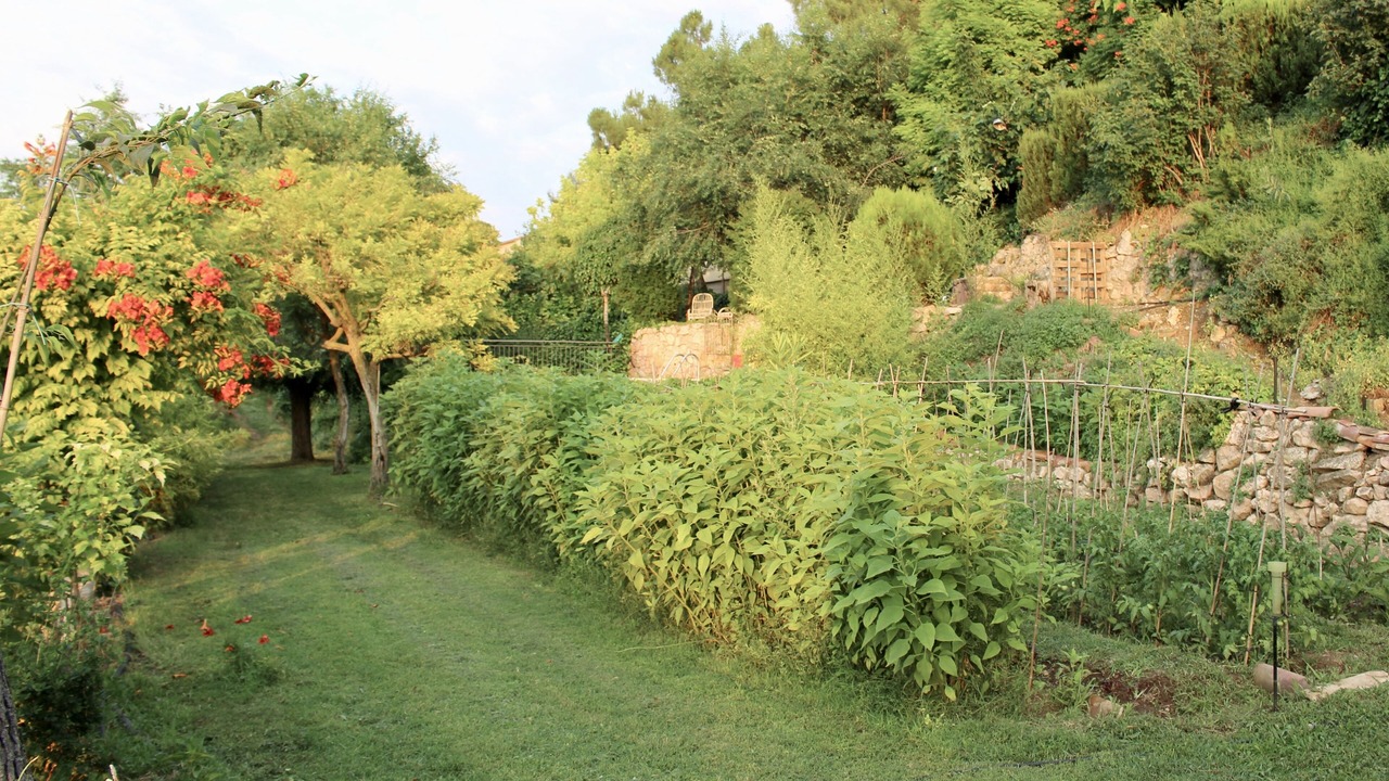 Photo of Outdoor in Ivars de Noguera