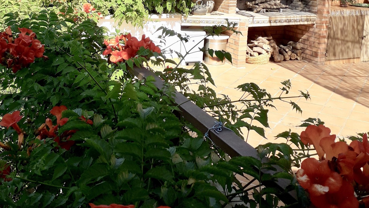 Photo of Outdoor in Ivars de Noguera