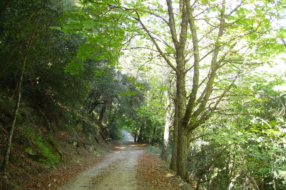 Photo of Outdoor in L'Espluga de Francoli