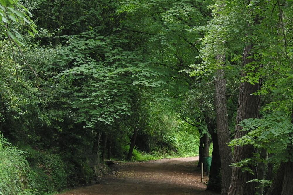 Photo of Outdoor in L'Espluga de Francoli
