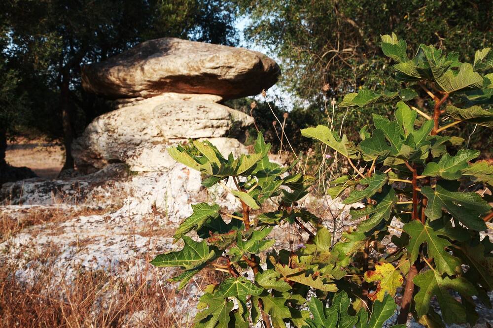 Photo of Outdoor in Giuggianello
