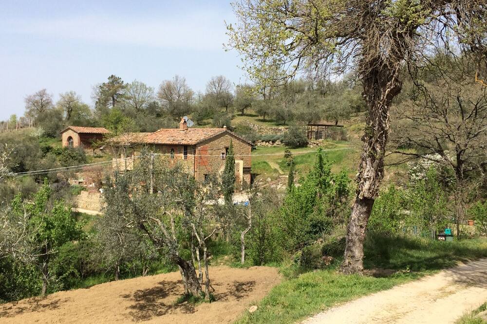 Photo of Outdoor in Panicale