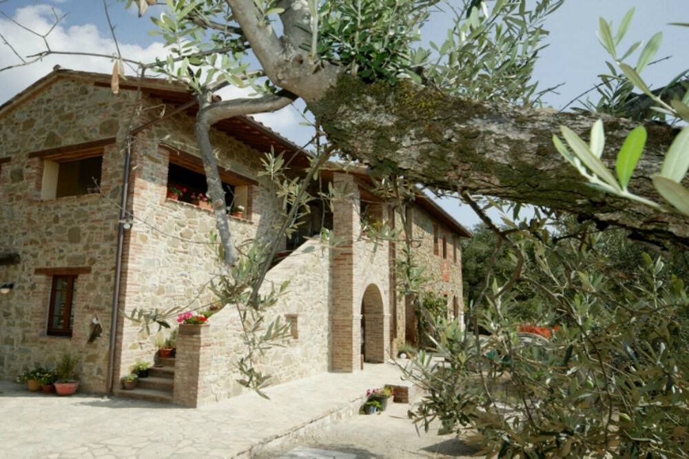 Photo of Outdoor in Panicale