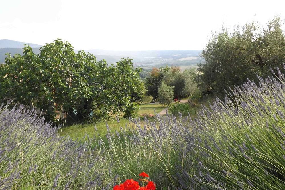Photo of Outdoor in Panicale