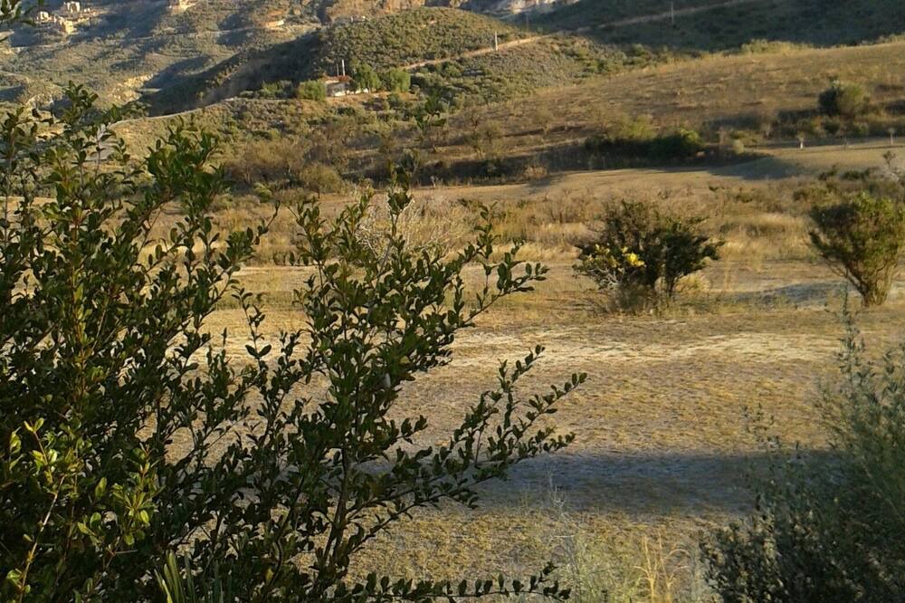 Photo of Others in Turre