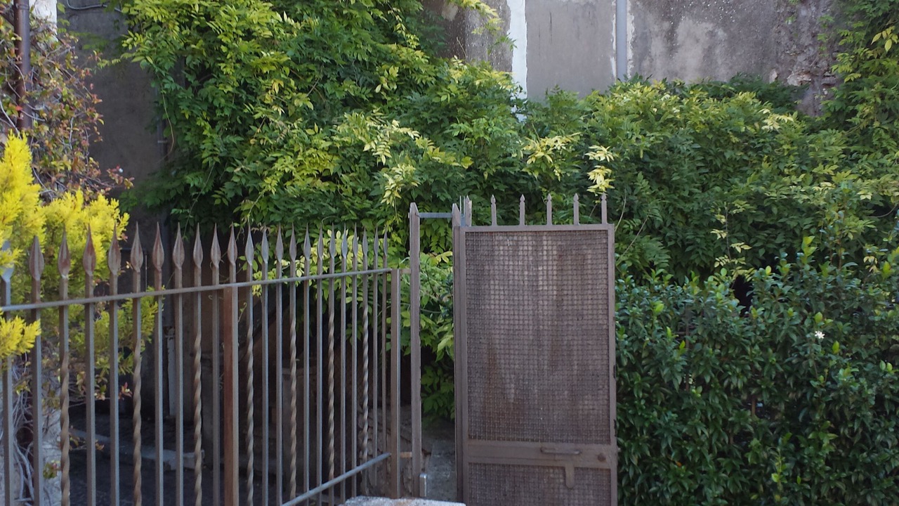 Photo of Outdoor in Trivigliano